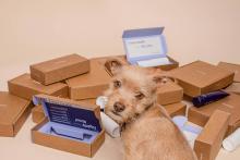 Dog subscribing to deliveries. West Financial Services.