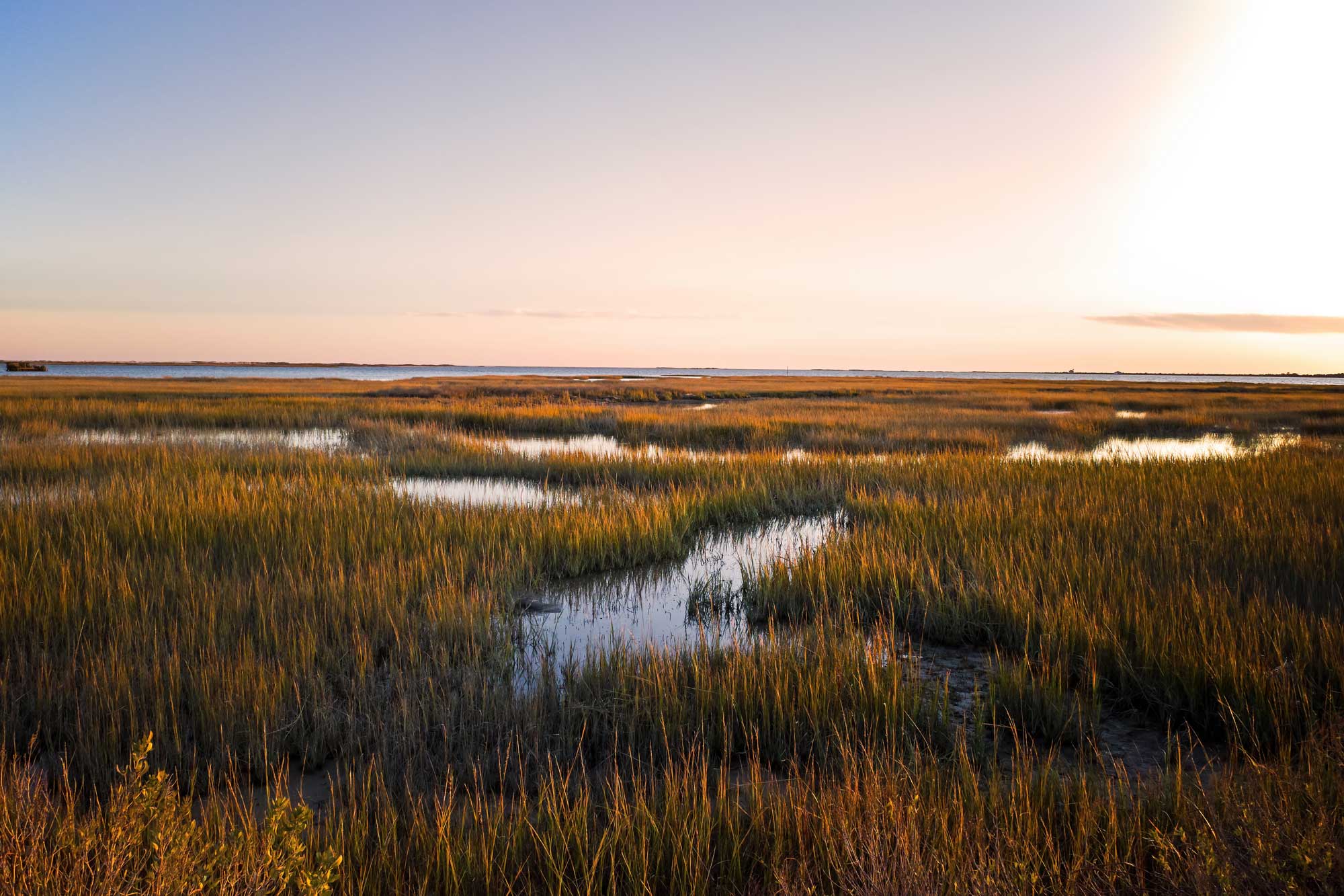 Virginia - wetlands