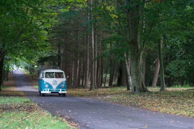 VW van driving through forest.