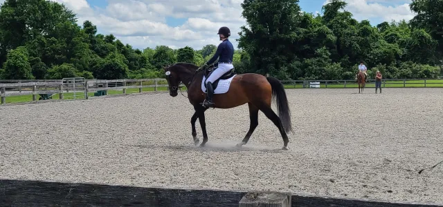 Waitara, a horse, and a rider. West Financial Services.
