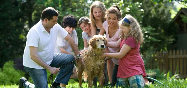 Family gathered outside on a sunny day giving a bath to their golden retriever, smiling and enjoying the activity together.
