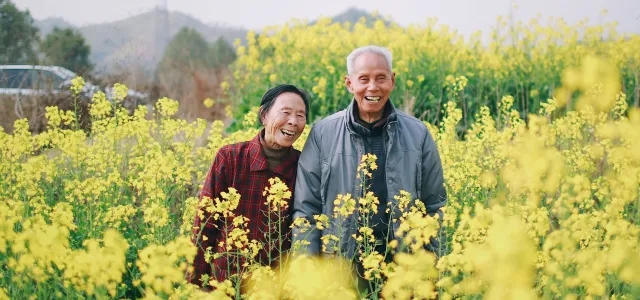 Smiling elderly couple standing together in a vibrant yellow flower field on a bright day.
