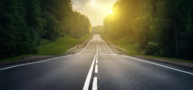 Long empty road stretching into the distance through a forest with the sun setting or rising on the horizon, casting a warm glow over the scene.