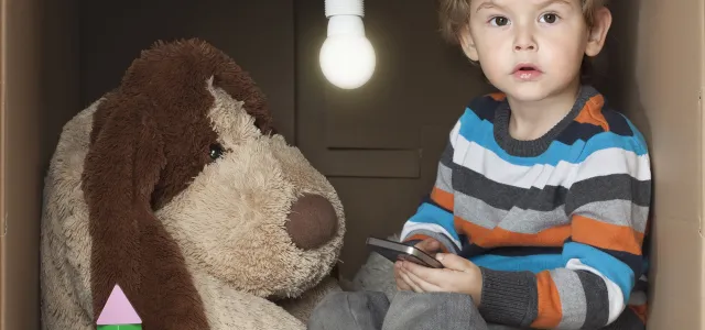 Stuffed dog and little boy playing in a cardboard box. West Financial Services.